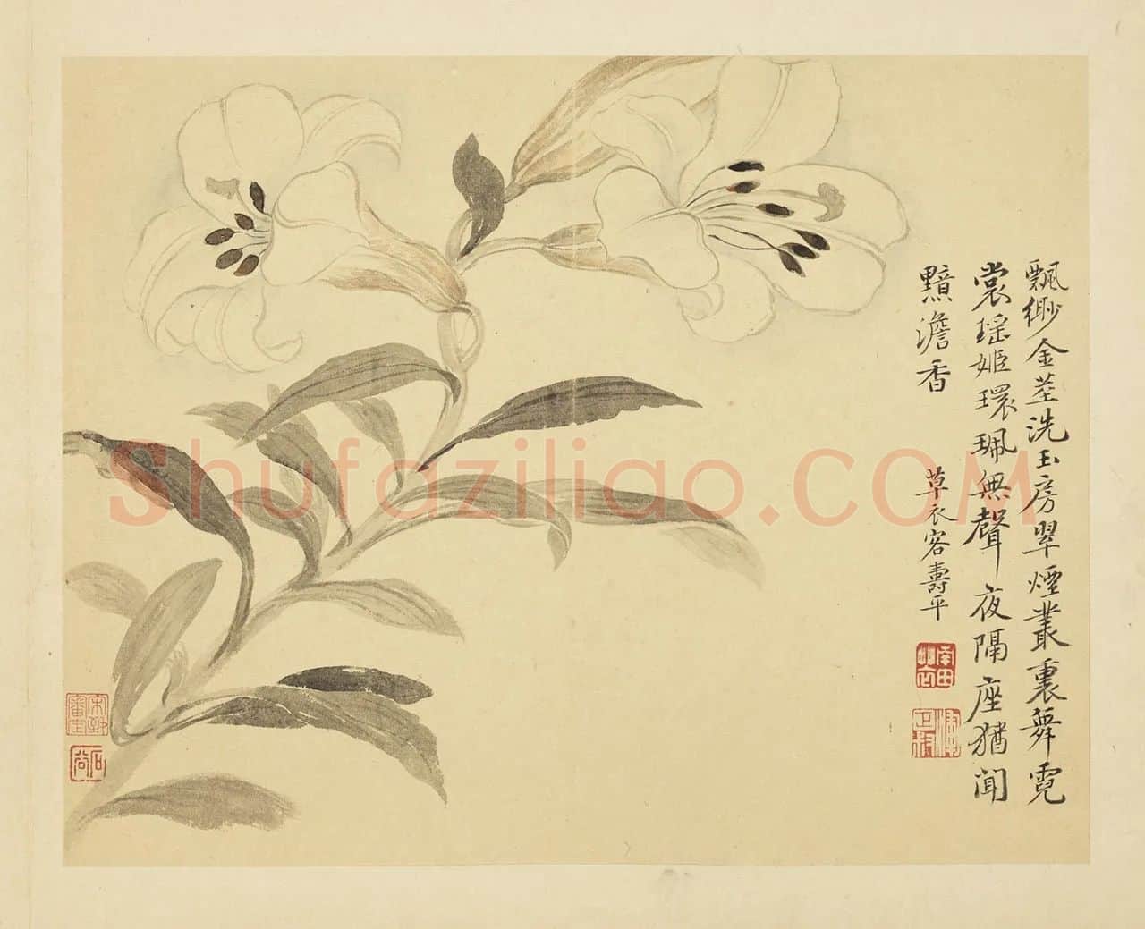 恽寿平摹古花卉《百合花》