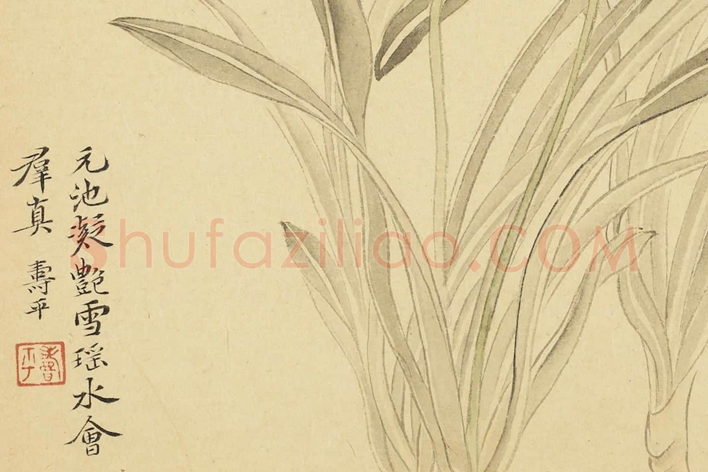 恽寿平花卉《水仙花》局部 (1)