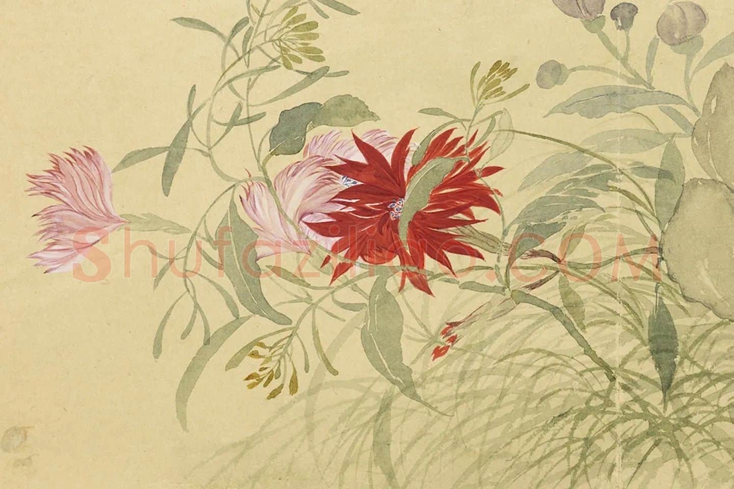 恽寿平花卉《秋花图》局部 (2)