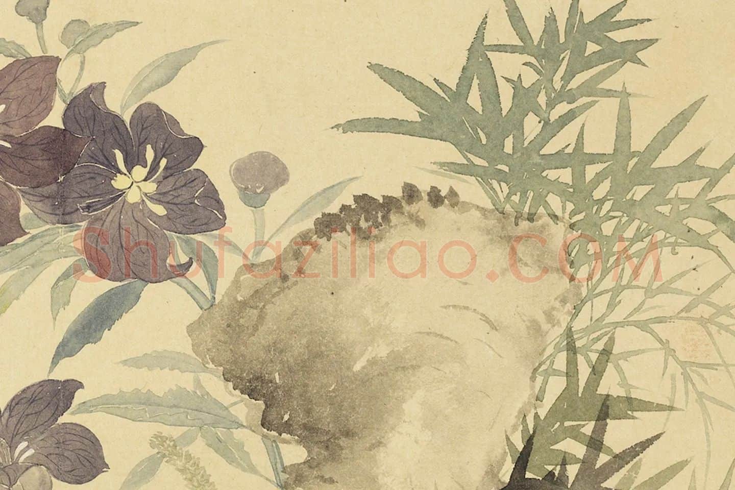 恽寿平花卉《秋花图》局部 (3)