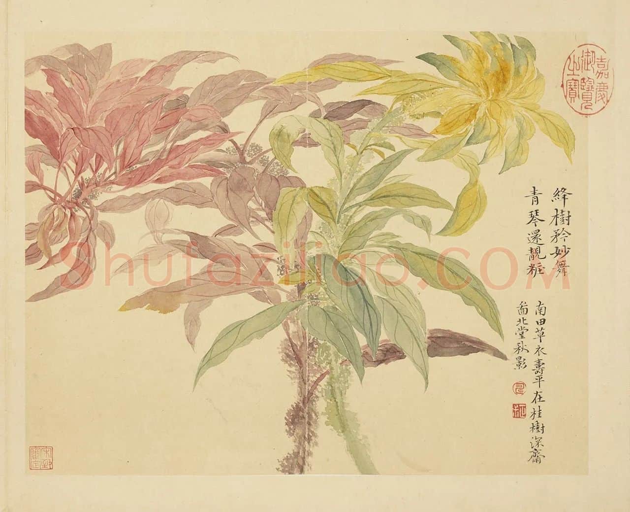 恽寿平没骨工笔花卉《北堂秋影》