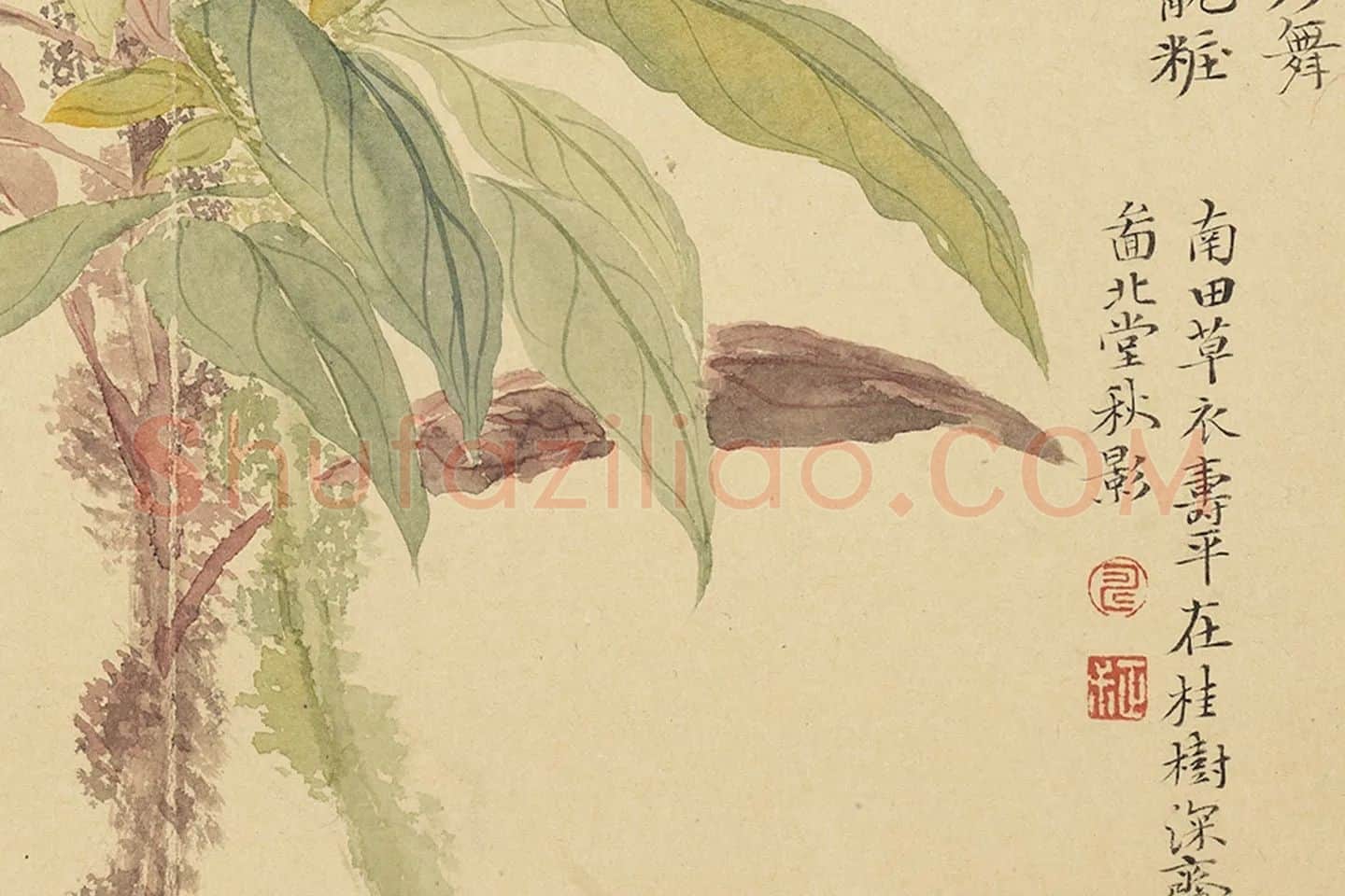 恽寿平没骨工笔花卉《北堂秋影》局部 (3)
