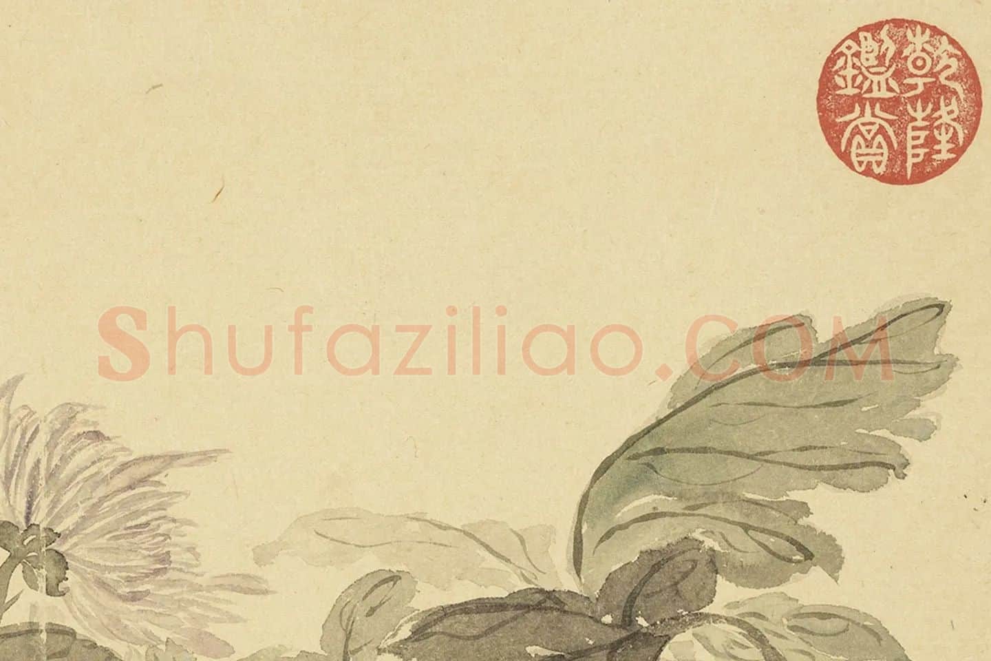 恽寿平花卉《菊花》局部 (2)