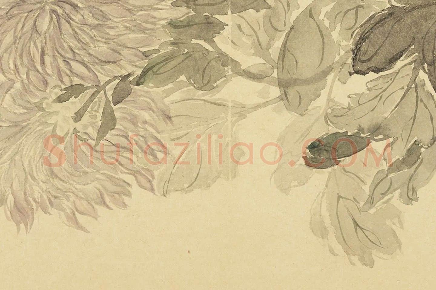 恽寿平花卉《菊花》局部 (3)