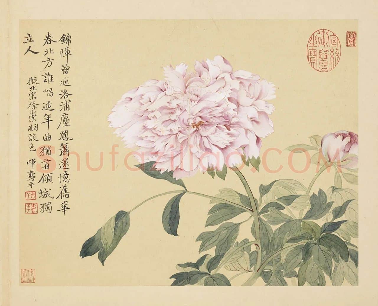 恽寿平没骨工笔花卉《牡丹花》