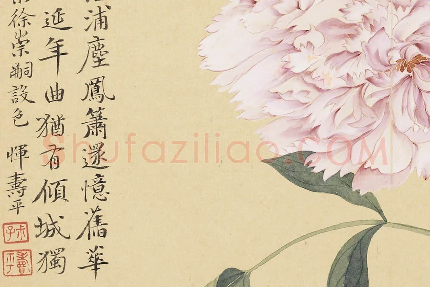 恽寿平没骨工笔花卉《牡丹花》局部 (3)