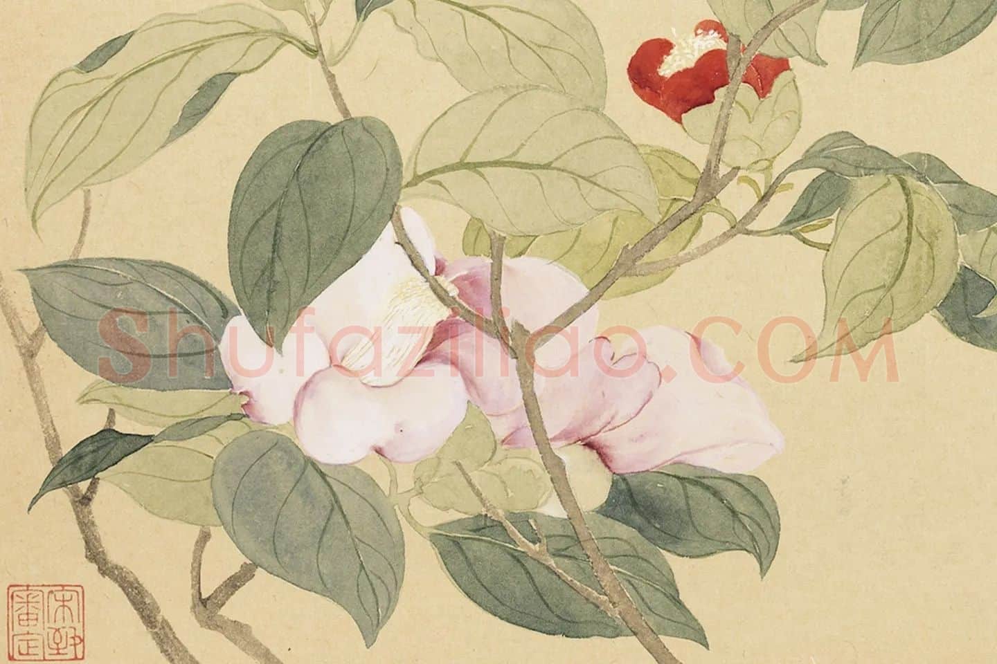恽寿平花卉《山茶花》局部 (3)