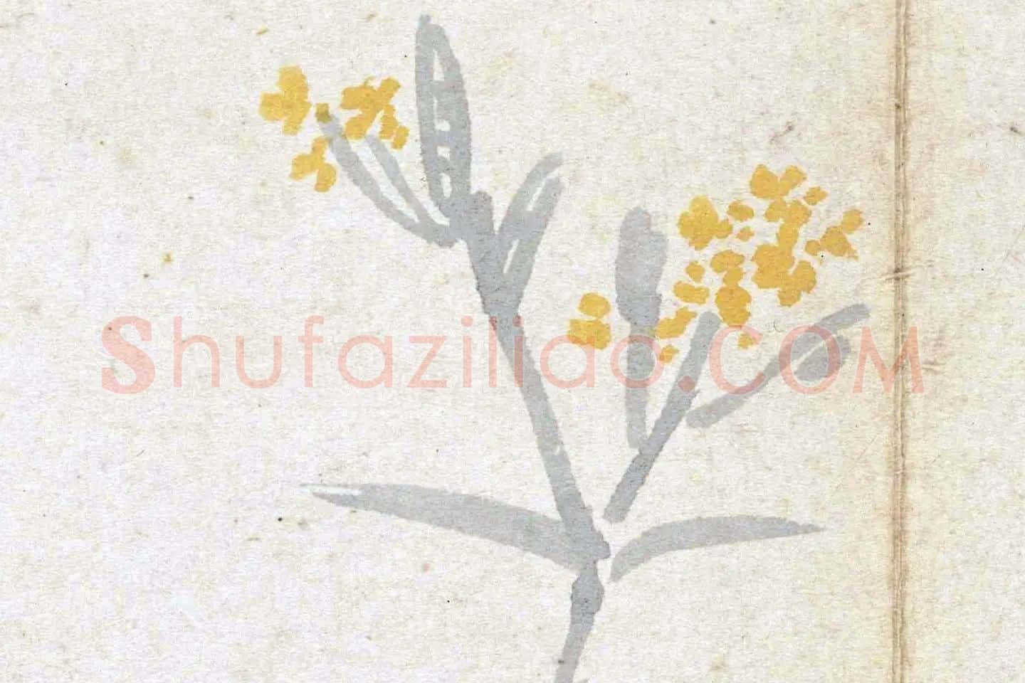 沈周水墨白菜《菜花图》高清大图局部 (1)