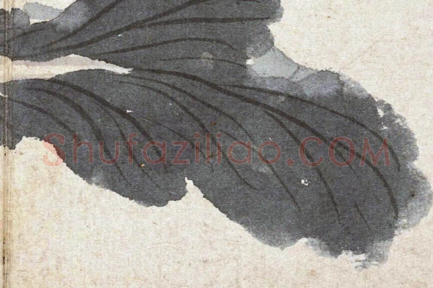 沈周水墨白菜《菜花图》高清大图局部 (4)
