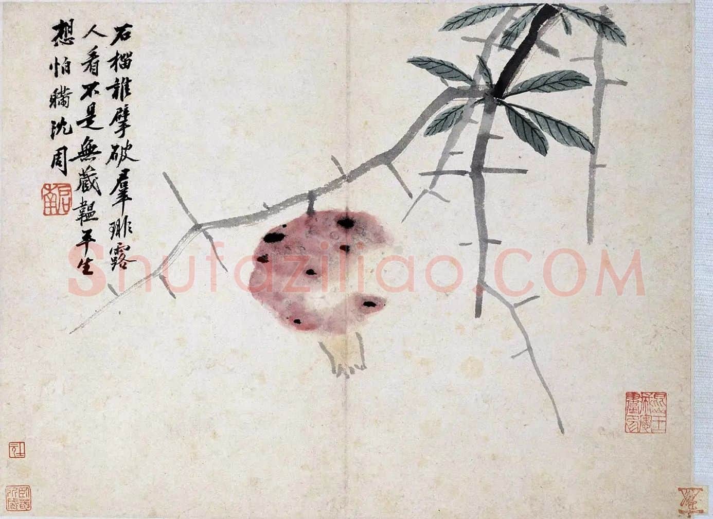 沈周《石榴图》页