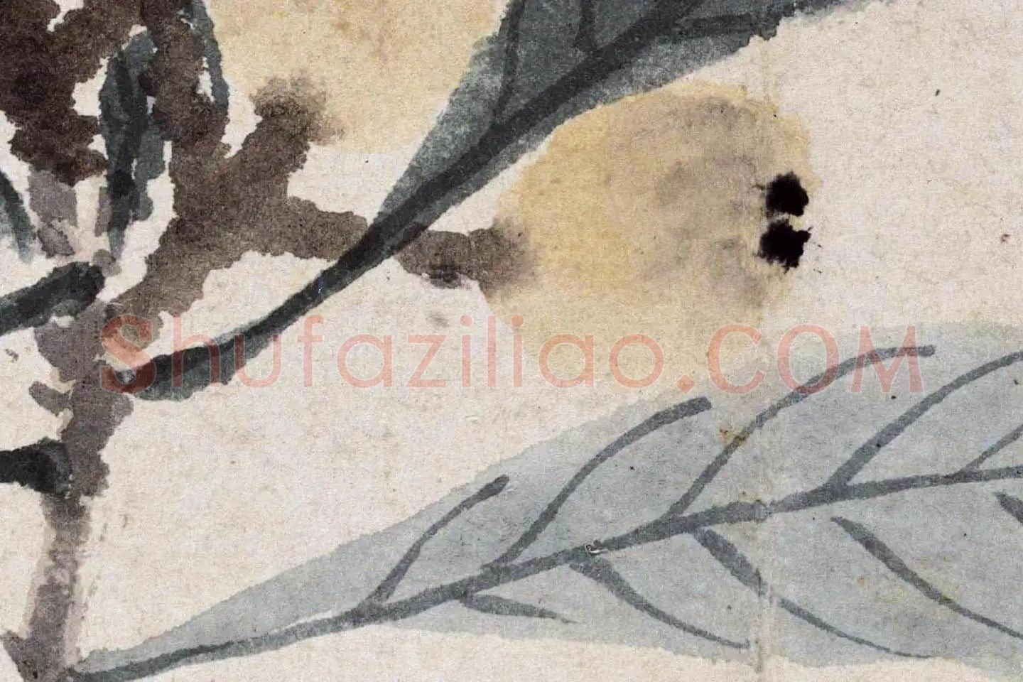 沈周《枇杷图》高清大图局部 (3)