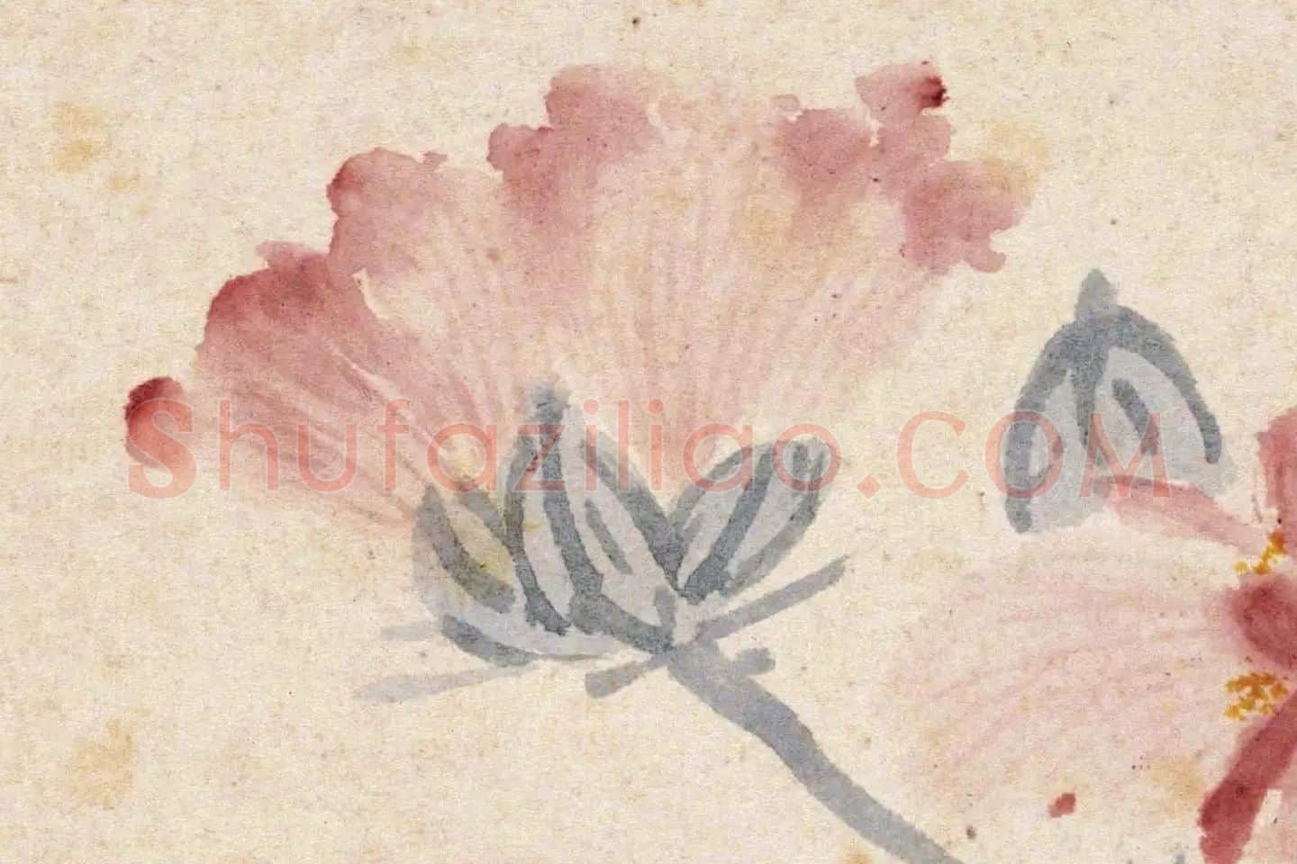 沈周花卉《芙蓉花》高清大图局部 (1)