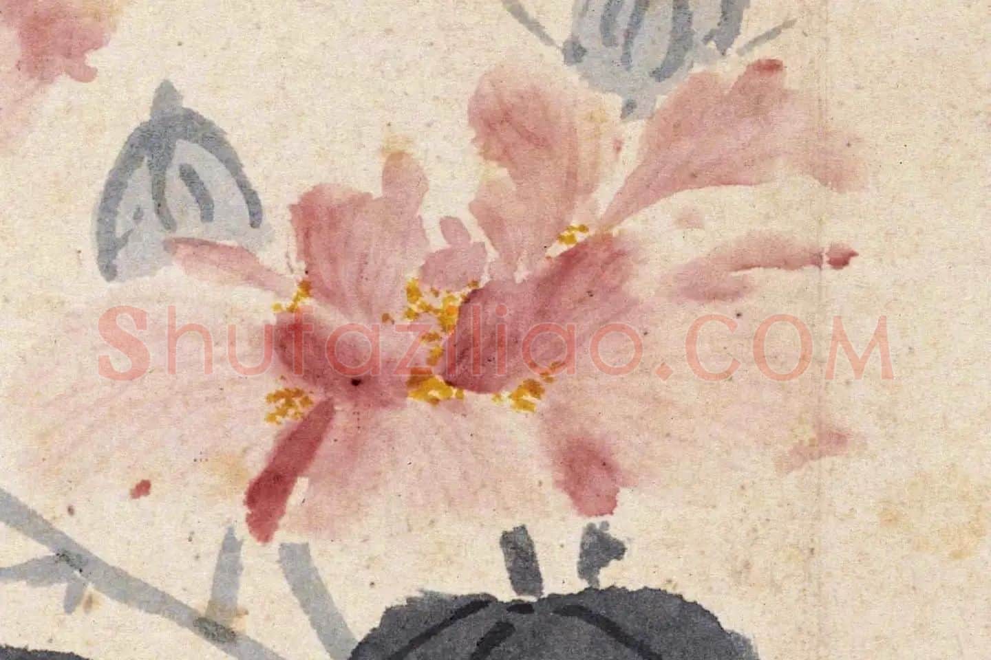 沈周花卉《芙蓉花》高清大图局部 (2)