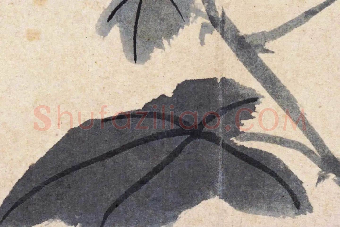 沈周花卉《芙蓉花》高清大图局部 (3)