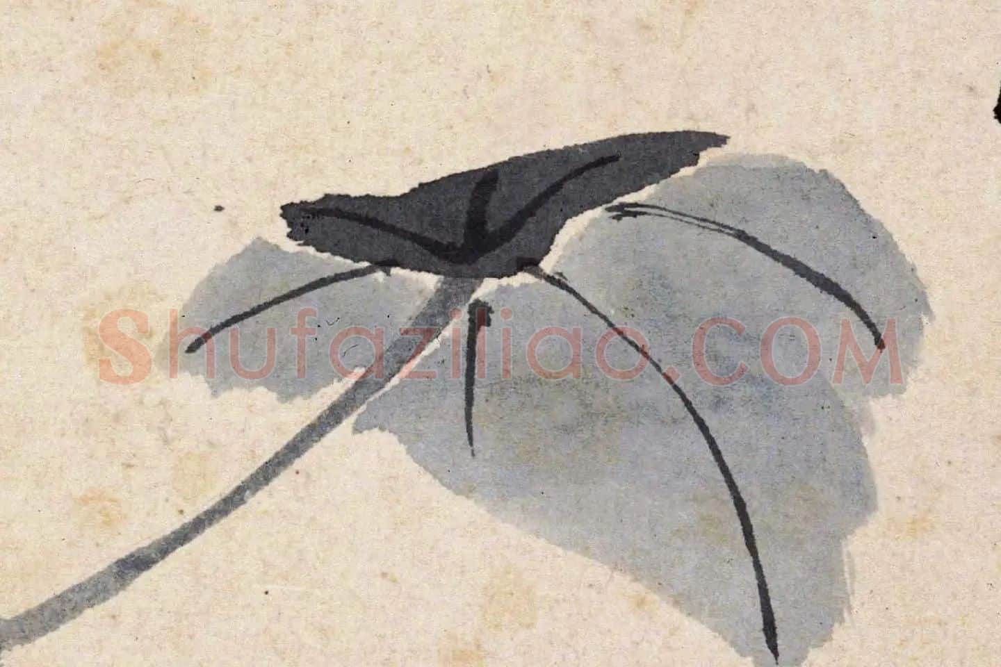 沈周花卉《芙蓉花》高清大图局部 (4)
