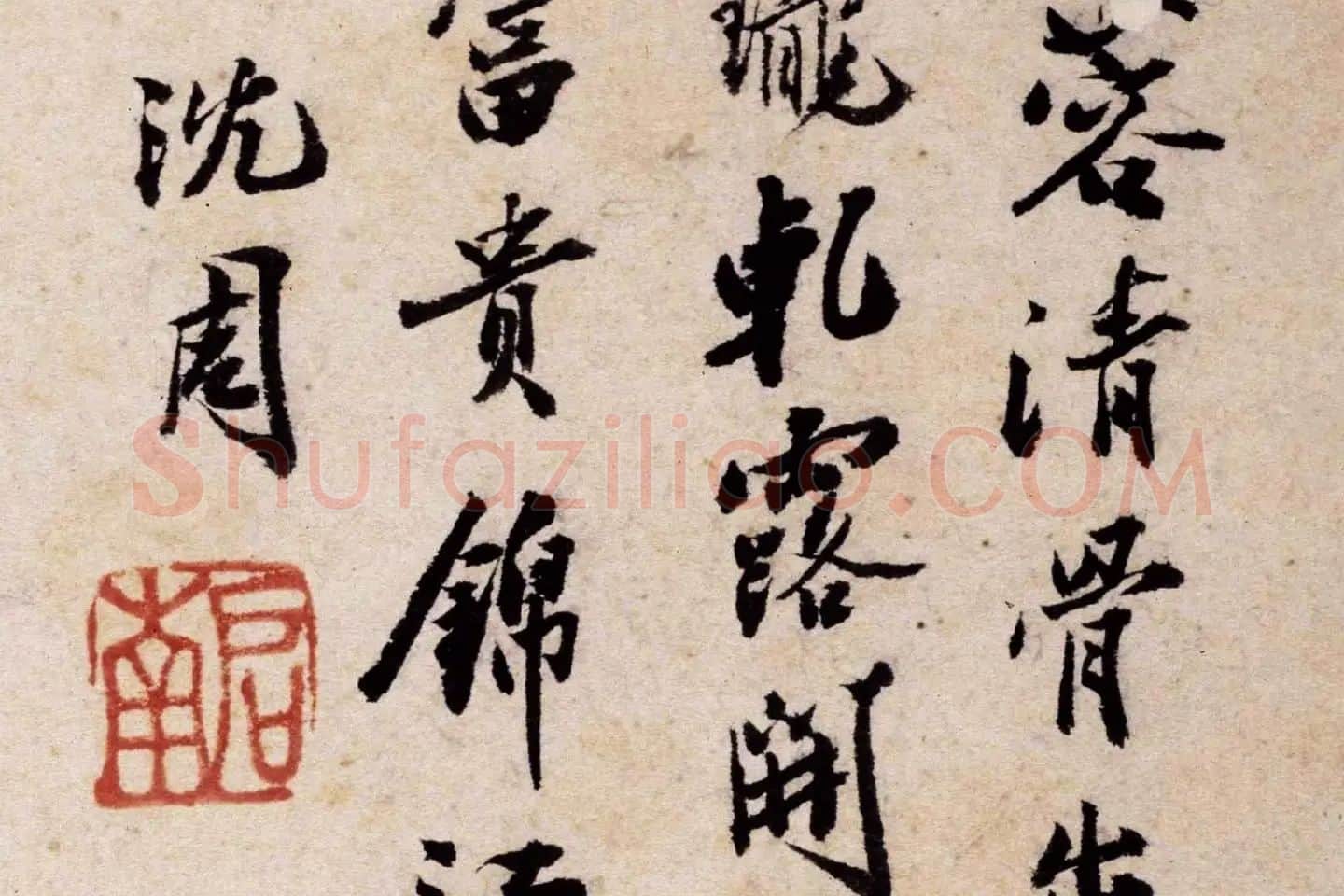 沈周花卉《芙蓉花》高清大图局部 (5)
