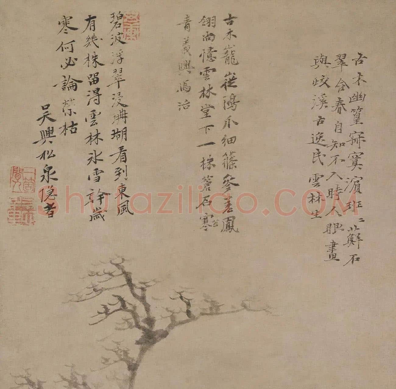 倪瓒《古木幽篁图》_01