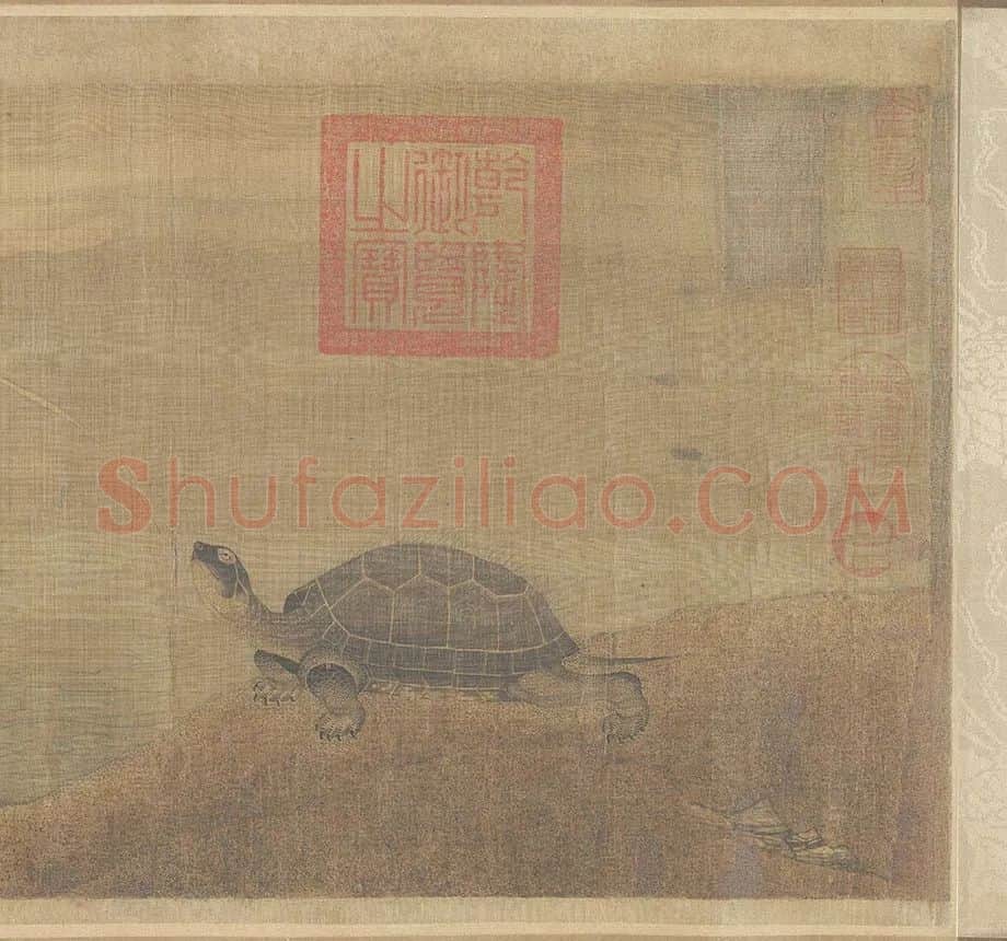 张珪神龟图_06