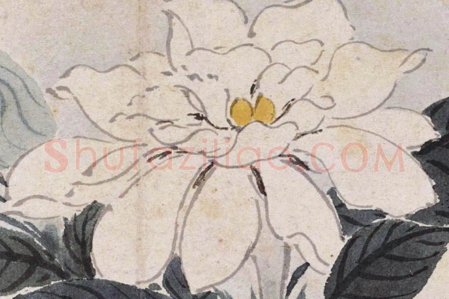 沈周花卉《栀子花》高清大图局部 (1)
