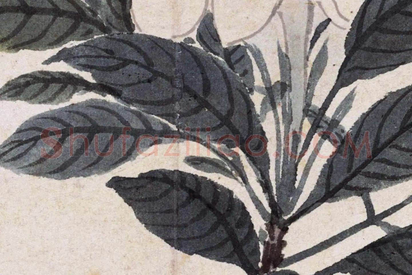 沈周花卉《栀子花》高清大图局部 (2)