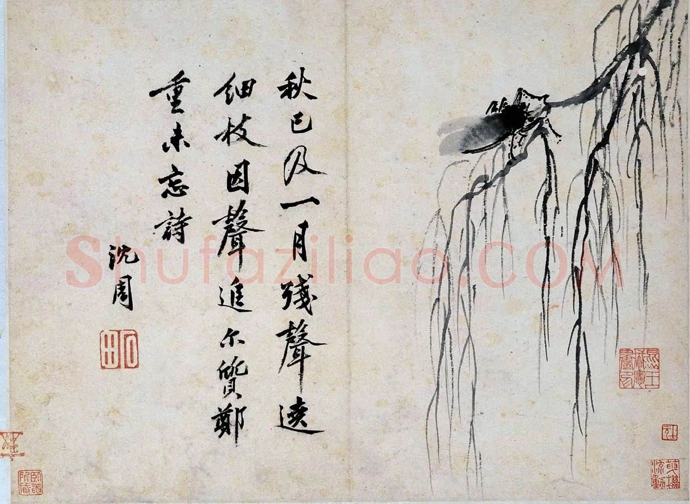 沈周水墨画《秋柳鸣蝉图》页