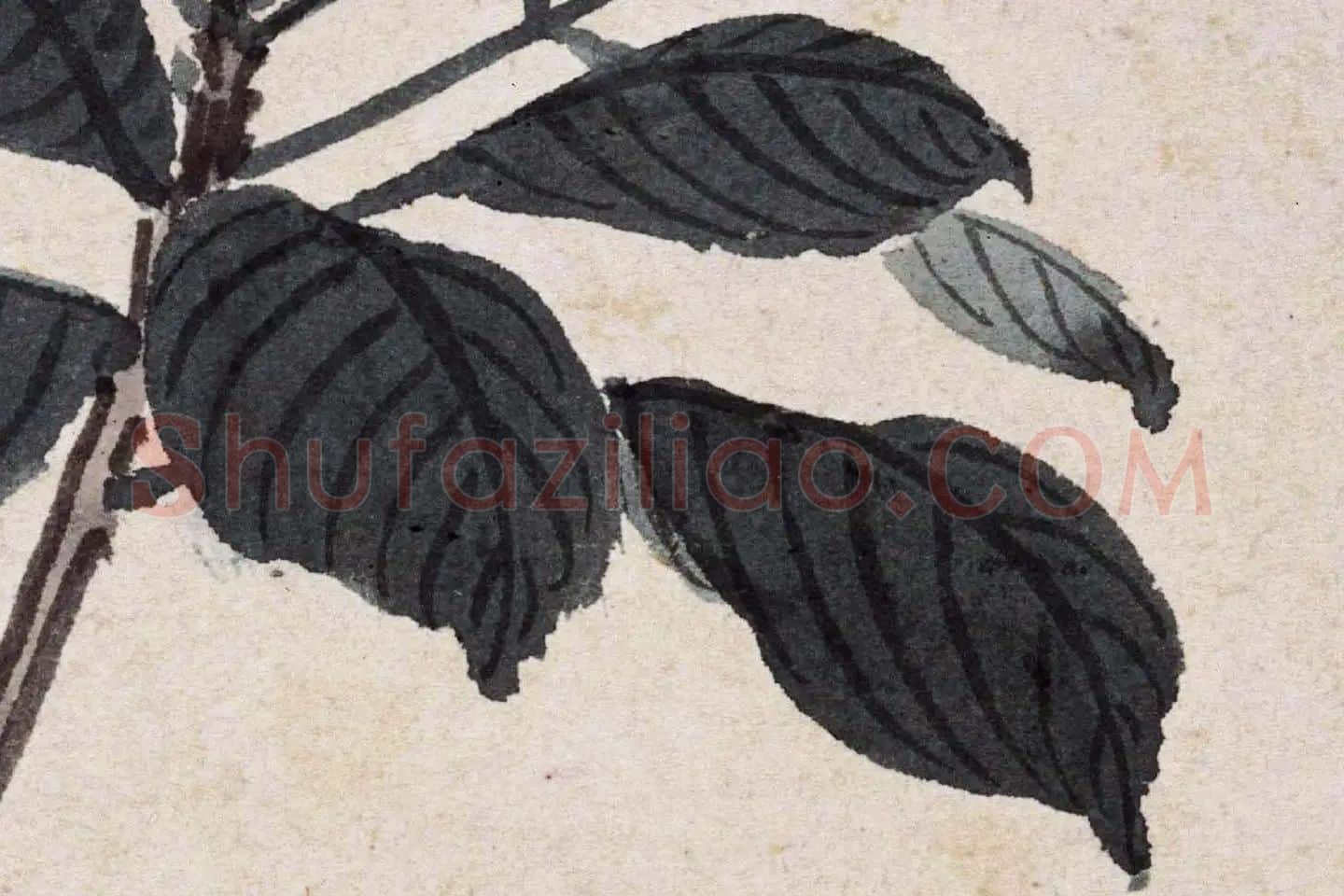 沈周花卉《栀子花》高清大图局部 (3)