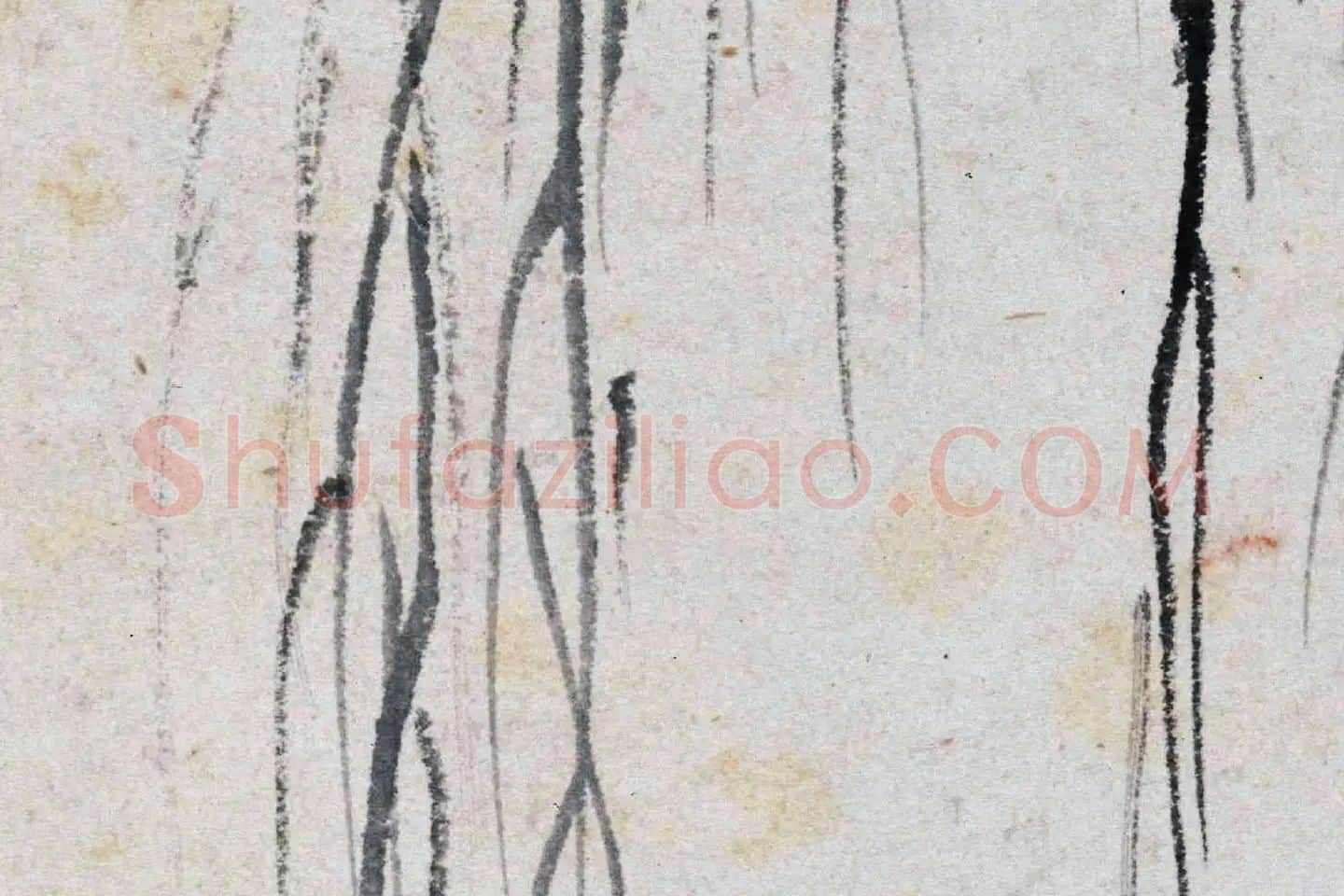 沈周水墨画《秋柳鸣蝉图》高清大图局部 (3)