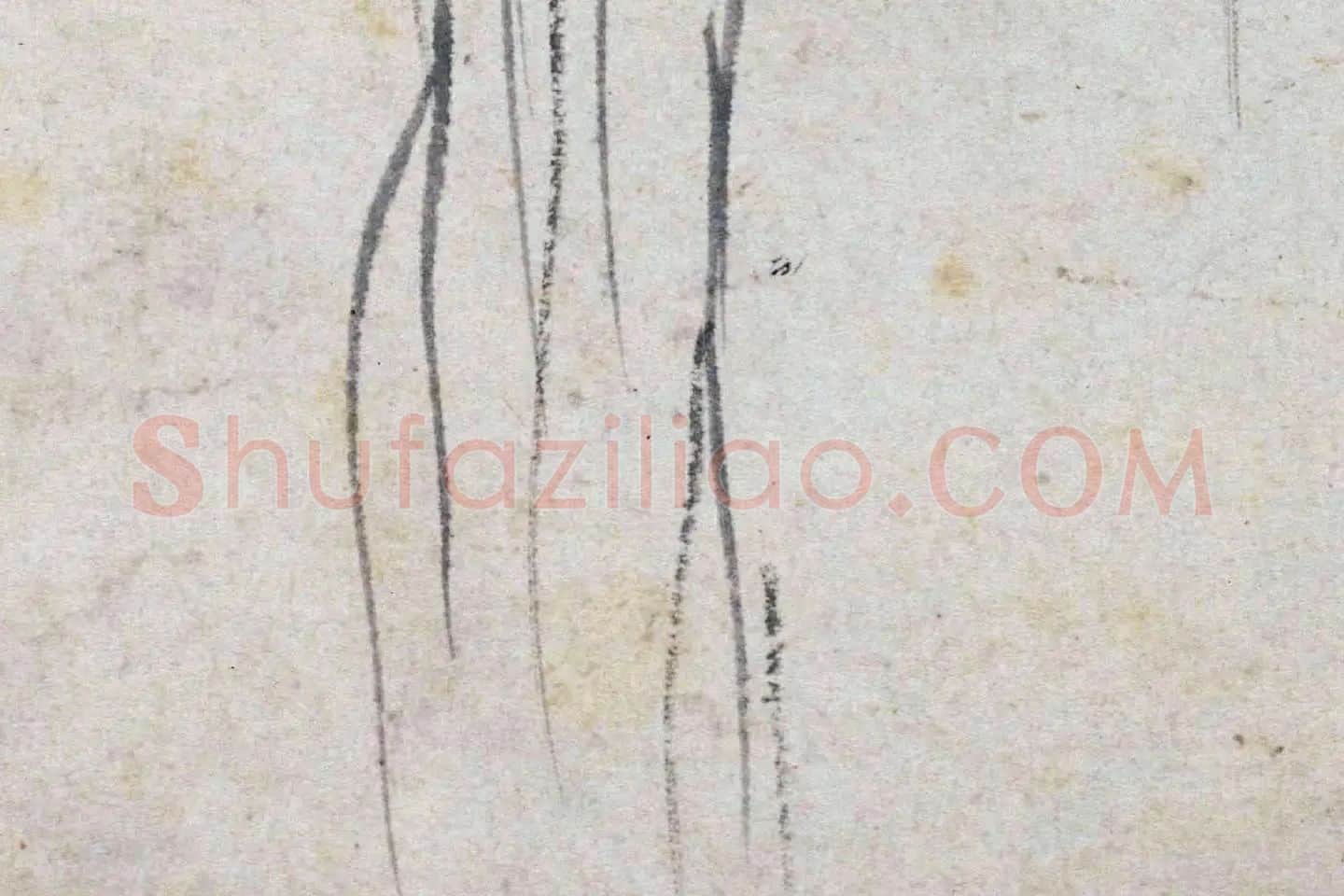 沈周水墨画《秋柳鸣蝉图》高清大图局部 (4)