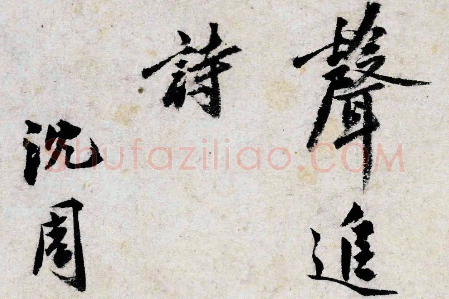 沈周水墨画《秋柳鸣蝉图》高清大图局部 (5)