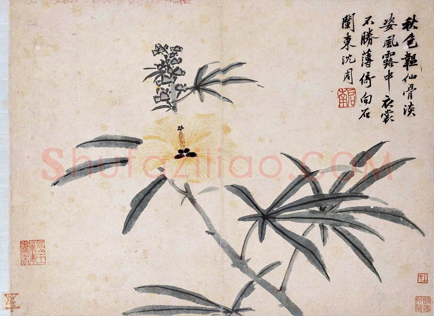 沈周花卉画《秋葵图》页