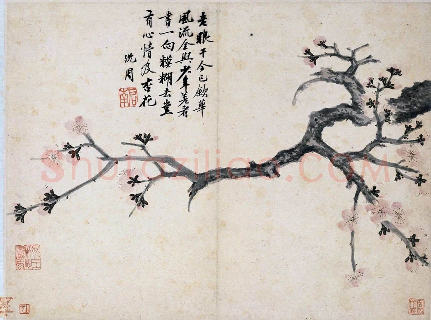 沈周《杏花图》页