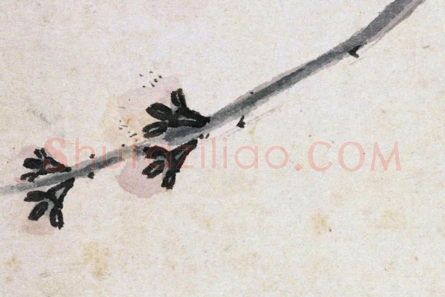 沈周《杏花图》高清大图局部 (2)