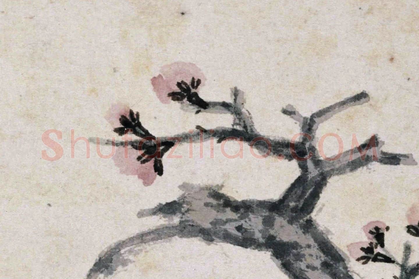 沈周《杏花图》高清大图局部 (6)