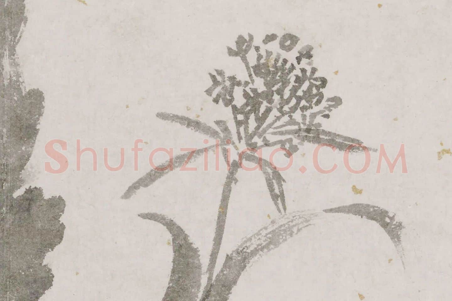 沈周《辛夷墨菜图》局部 (6)