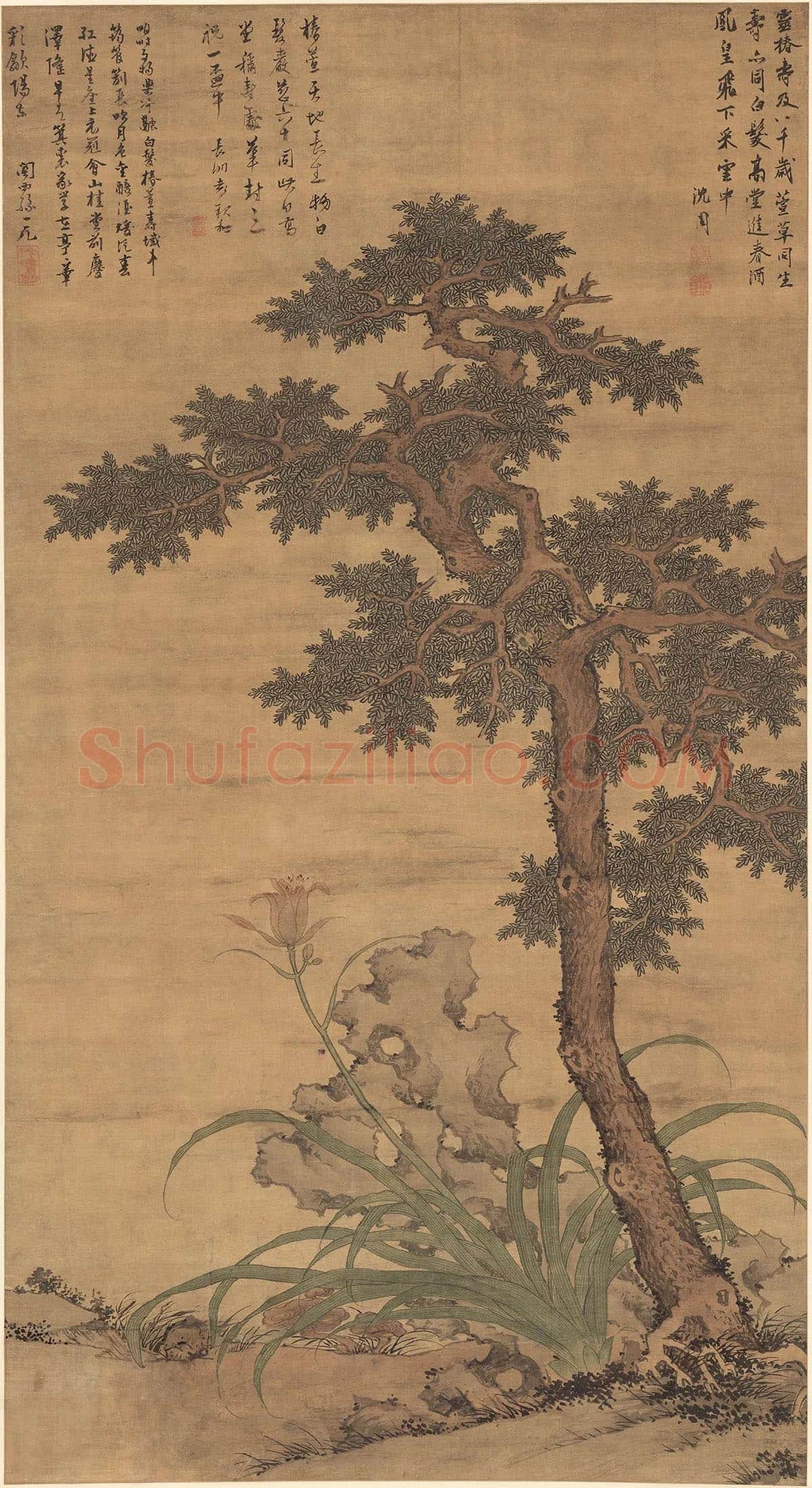 沈周《椿萱图》