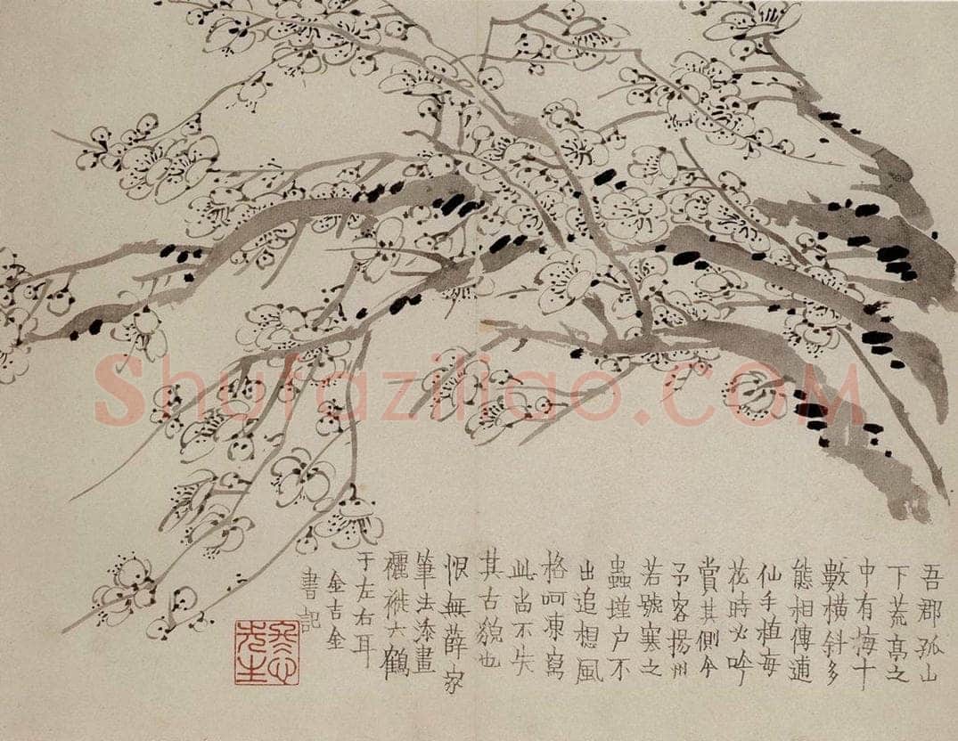 1757年 金农 《梅花册》 书画作品
