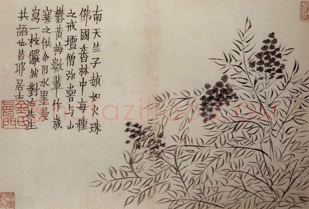 1759年 金农 《杂画册》 书画作品
