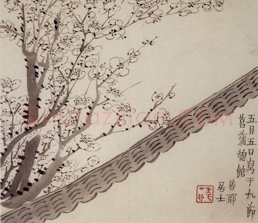 1754年 金农 《梅花册》 书画作品
