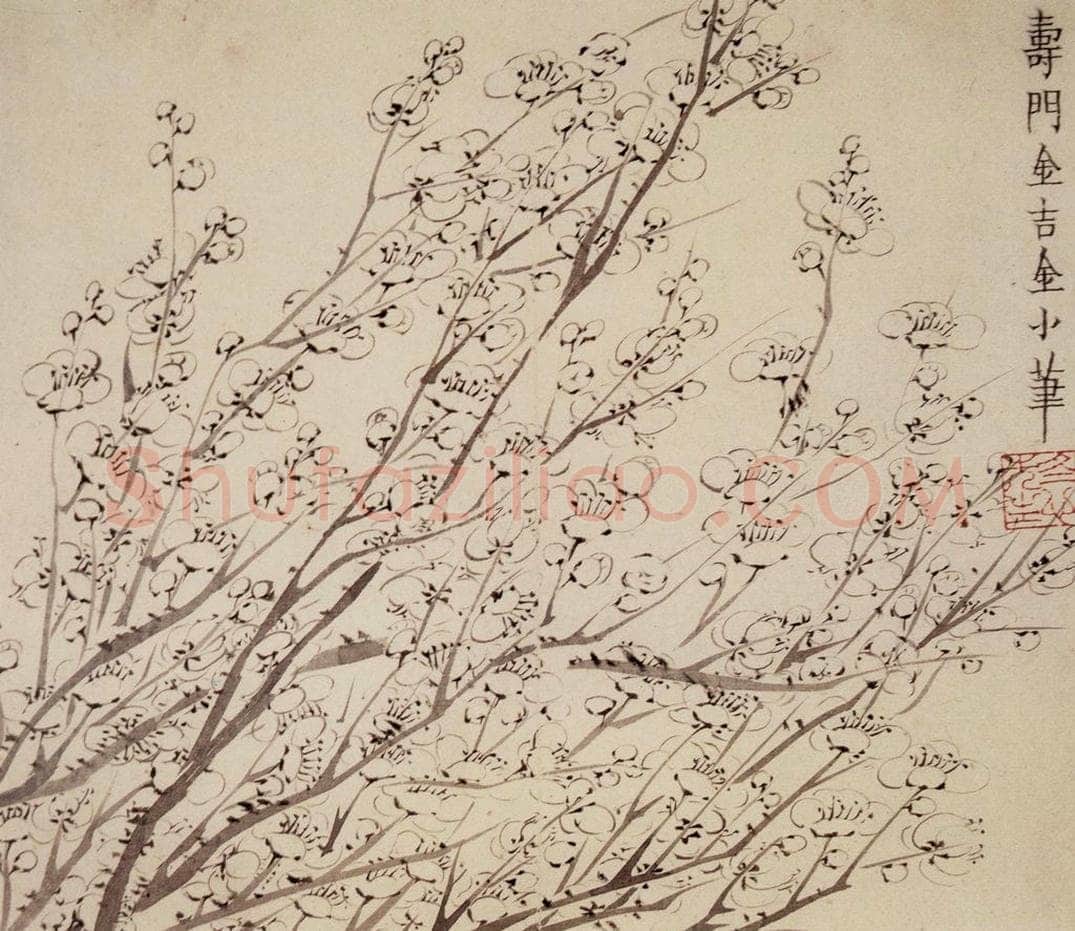 1754年 金农 《梅花册》 书画作品