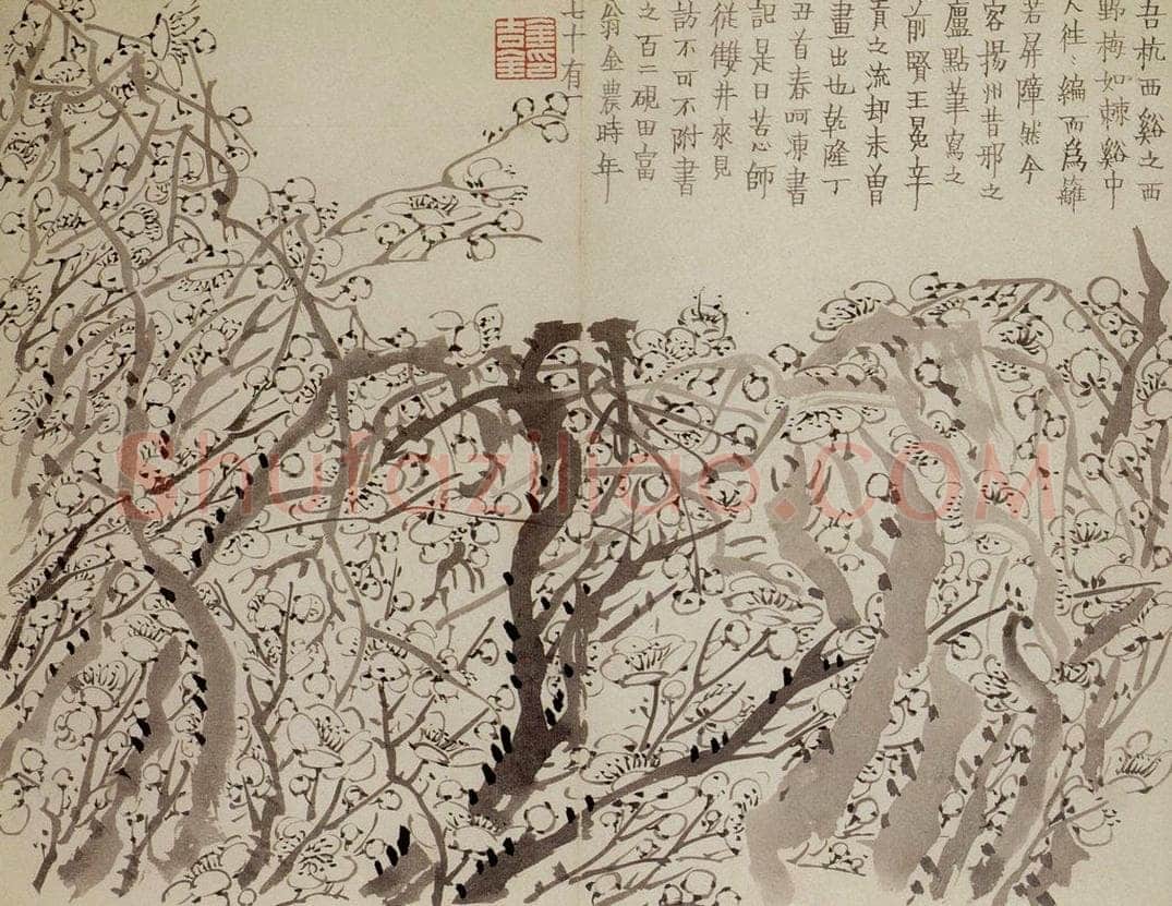1757年 金农 《梅花册》 书画作品