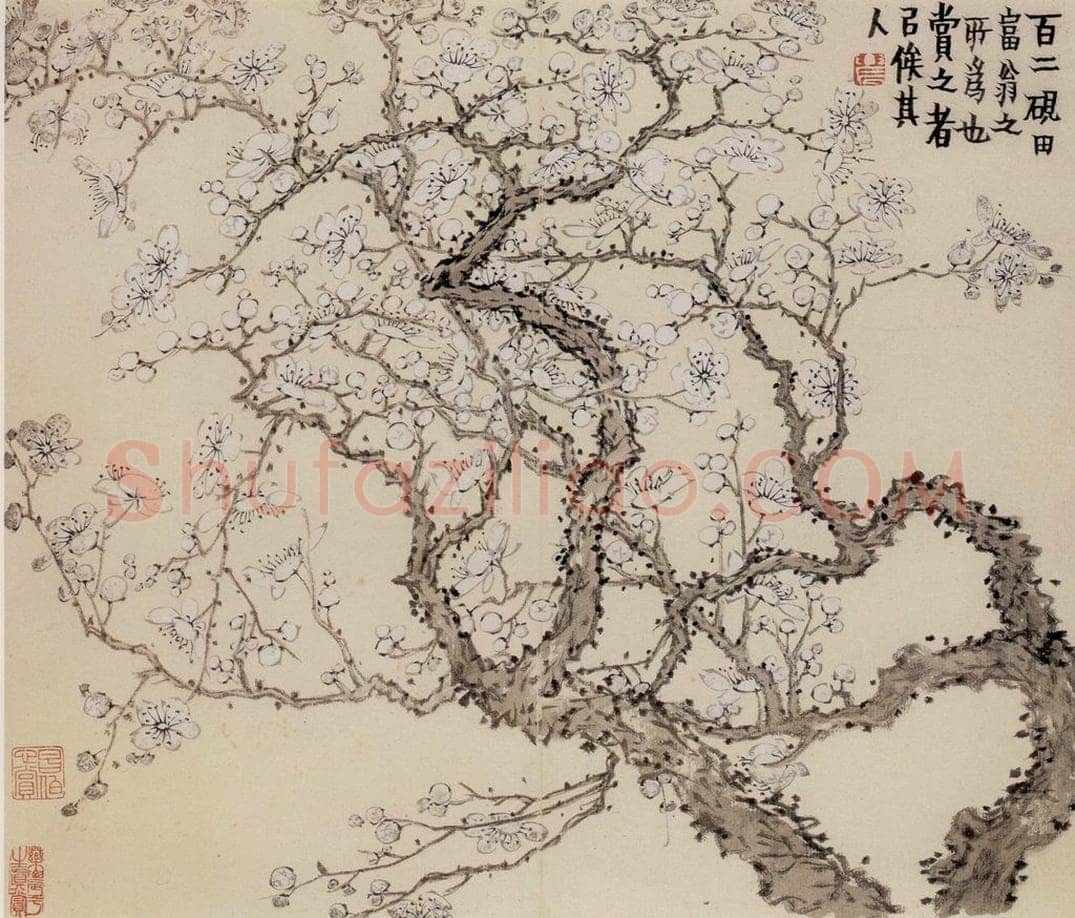 1760年 金农 《梅花册》 书画作品