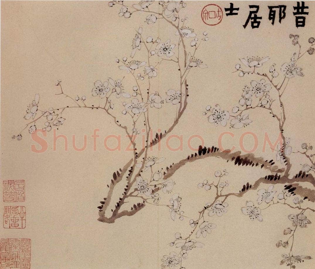 1760年 金农 《梅花册》 书画作品