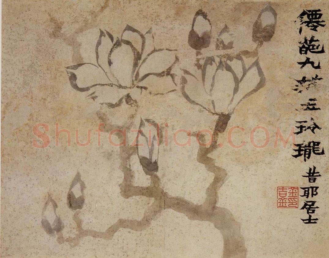 1761年 金农 《花卉册》 书画作品