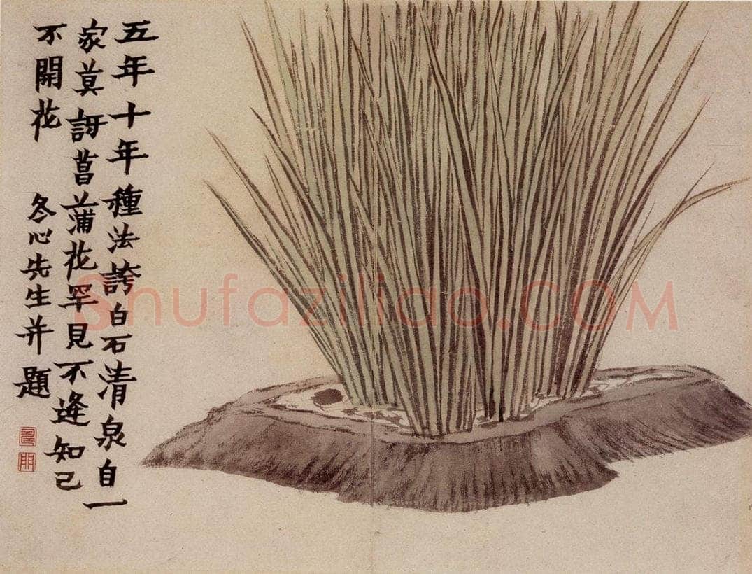 1761年 金农 《花卉册》 书画作品
