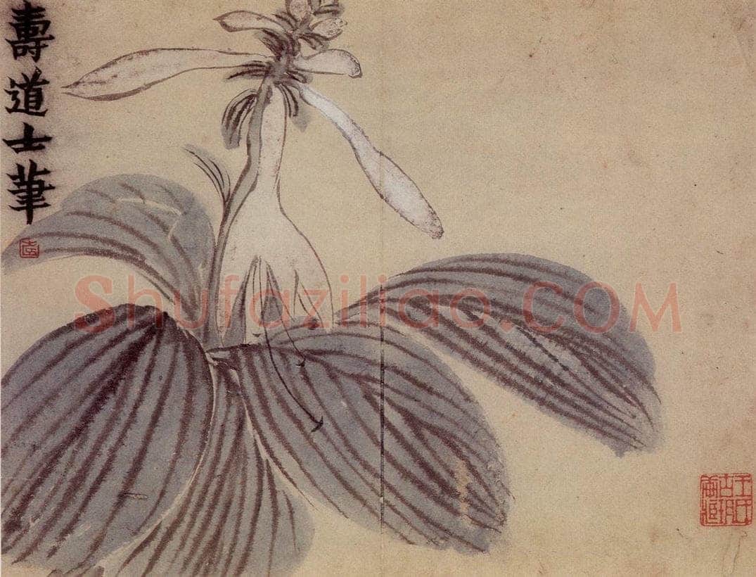 1761年 金农 《花卉册》 书画作品