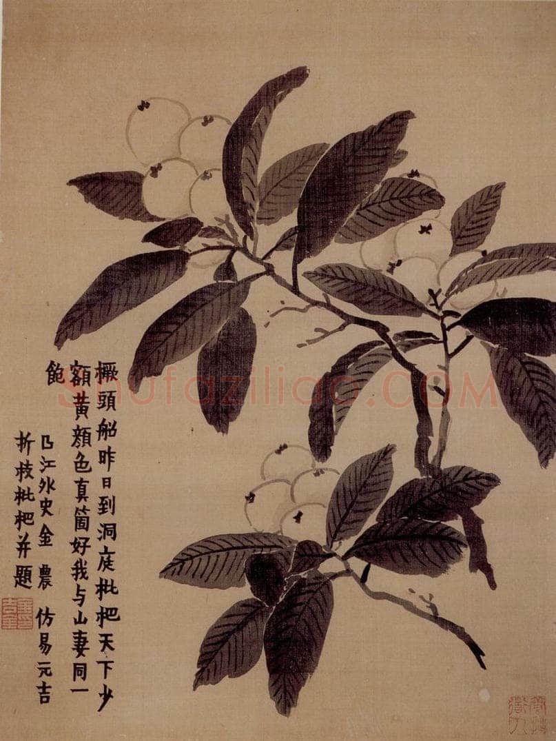 年代不详 金农 《花卉册》 书画作品