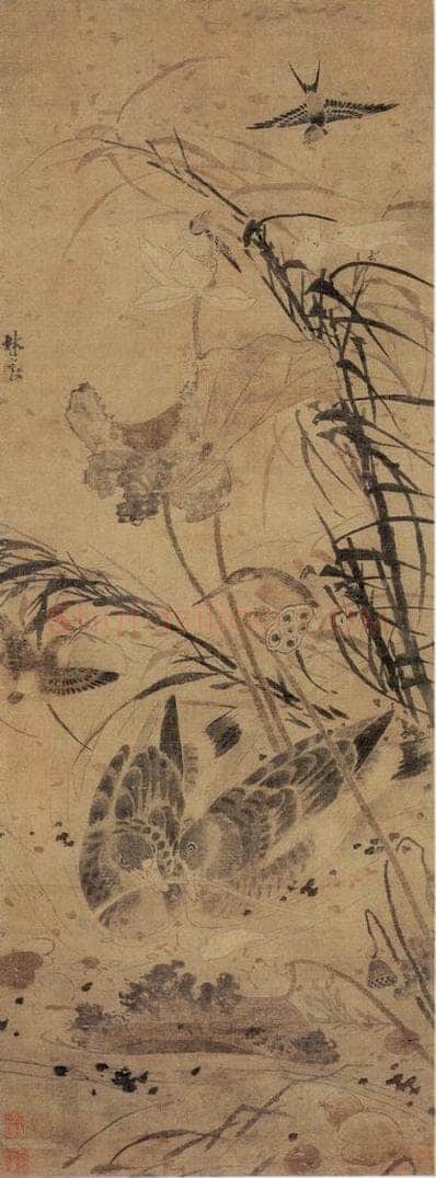 明 林良 荷塘集禽图 书画作品