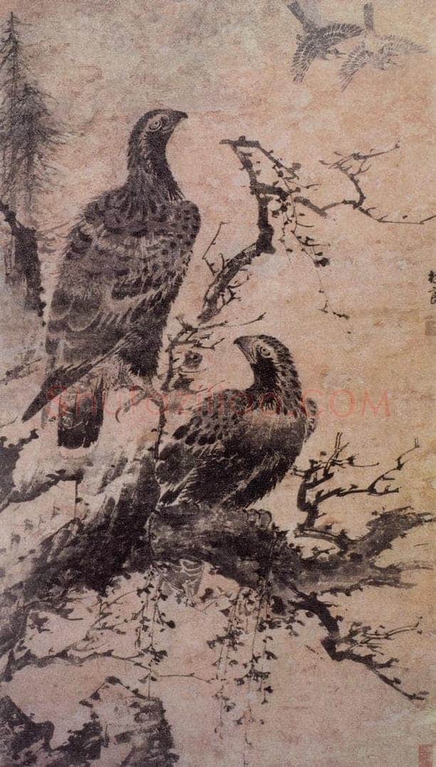 明 林良 双鹰图 书画作品