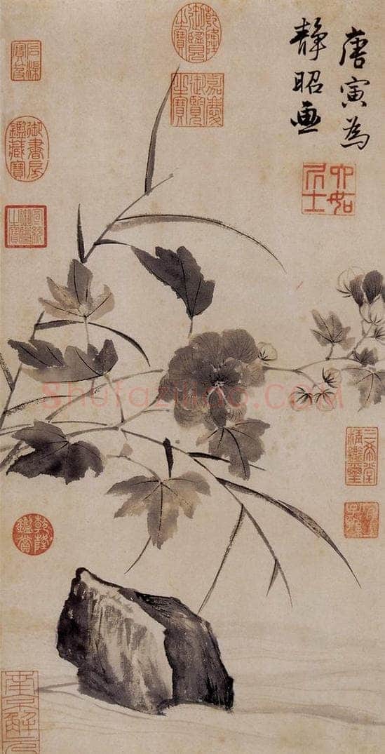 明 唐寅 《临水芙蓉图》 书画作品