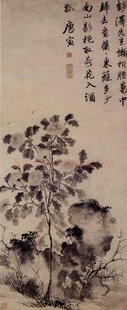 明 唐寅 《菊花图》 书画作品